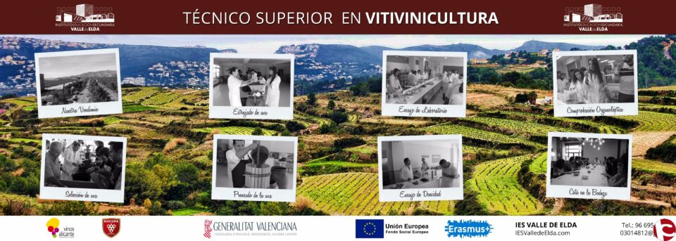 El IES VALLE DE ELDA REALIZARÁ CATAS DE VINOS Y PRESENTARAN VARIOS PROYECTOS DE HISTORIA EN LA PRIMAVERA EDUCATIVA