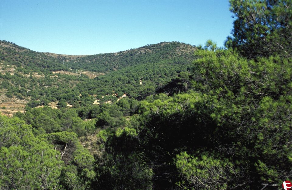 El pleno aprobará la constitución del Consejo de Participación del Paraje Natural Municipal Monte Coto