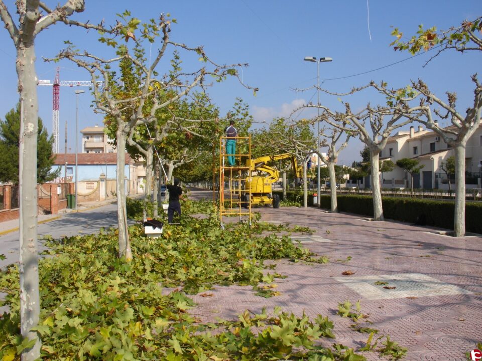 El equipo de gobierno apuesta por la gestión directa del servicio de mantenimiento y conservación de parques y jardines