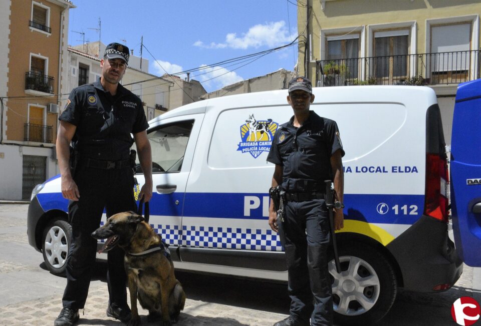 La Brigada Canina abre dos expedientes en la primera jornada de trabajo