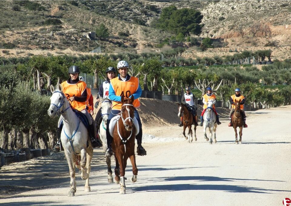 EL SÁBADO SE CELEBRA EL RAID HÍPICO VILLA DE ASPE EN EL PARQUE NATURAL MUNICIPAL LOS ALGEZARES