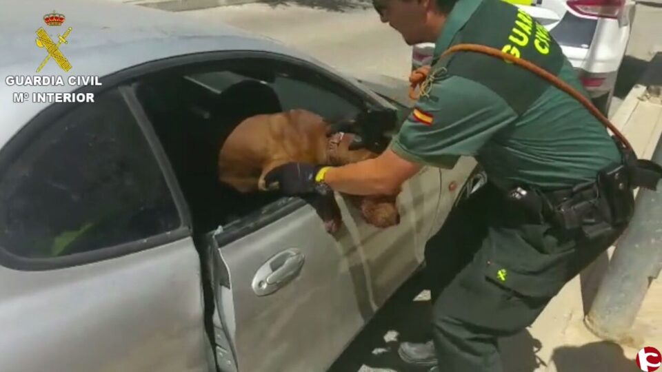 La Guardia Civil rescata a un perro del interior de un vehículo en Aspe