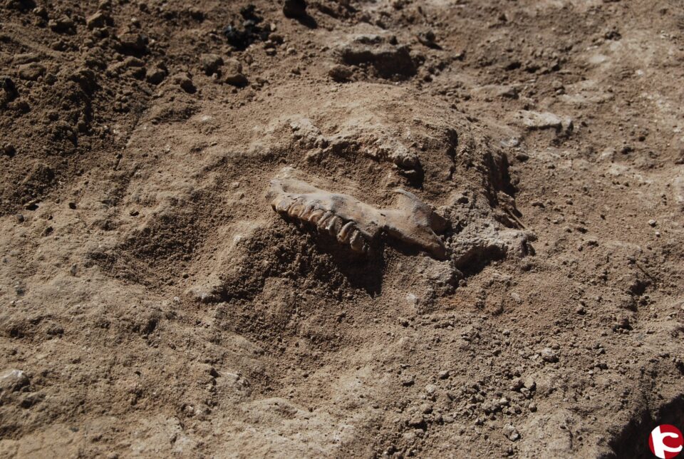 Más de 1.500 visitas en las jornadas de puertas abiertas