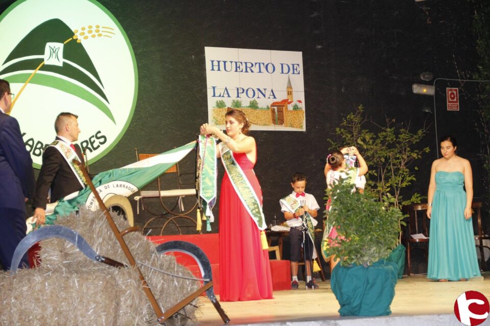 ESPECIAL COMPARSAS 2016: Entrevista a los Cargos