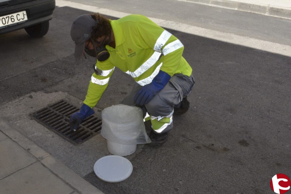 La concejalía de Salud inicia una campaña de actuación contra el mosquito tigre