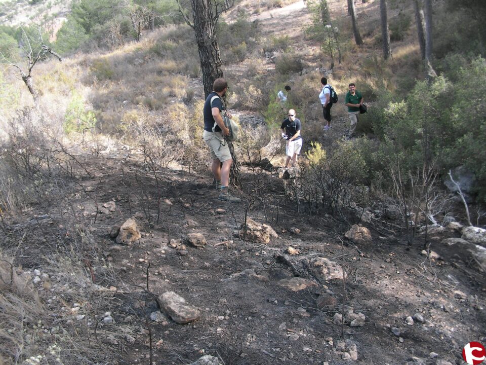 Arden cerca de 2.000 metros cuadrados de matorral en el monte Coto