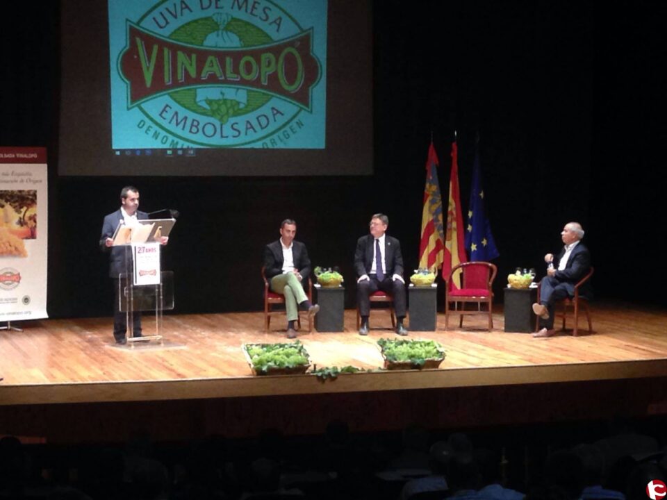 Ximo Puig y Cesar Sánchez han procedido esta mañana al primer corte de racimo de Uva de mesa del Vinalopó