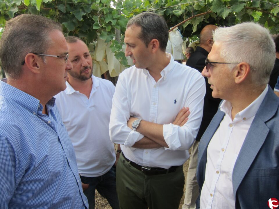 El alcalde de Novelda reivindica agua de calidad y a precios asequibles en el inicio de la campaña de la uva de mesa embolsada