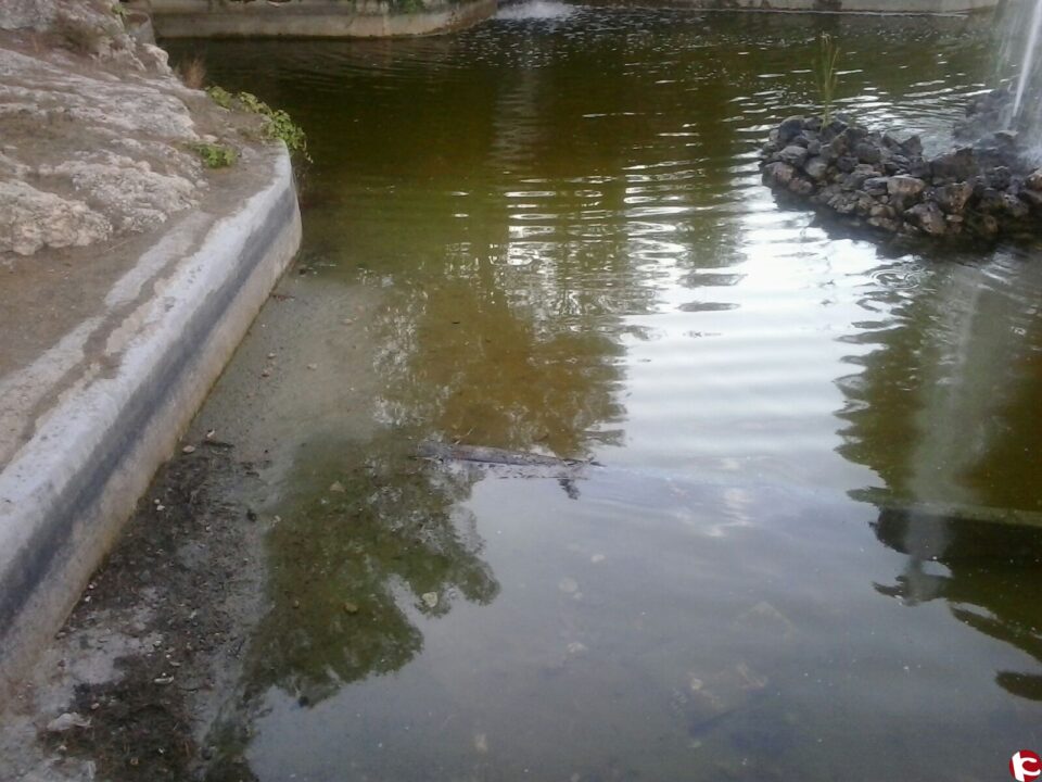 PSOE VILLENA :" Un año más