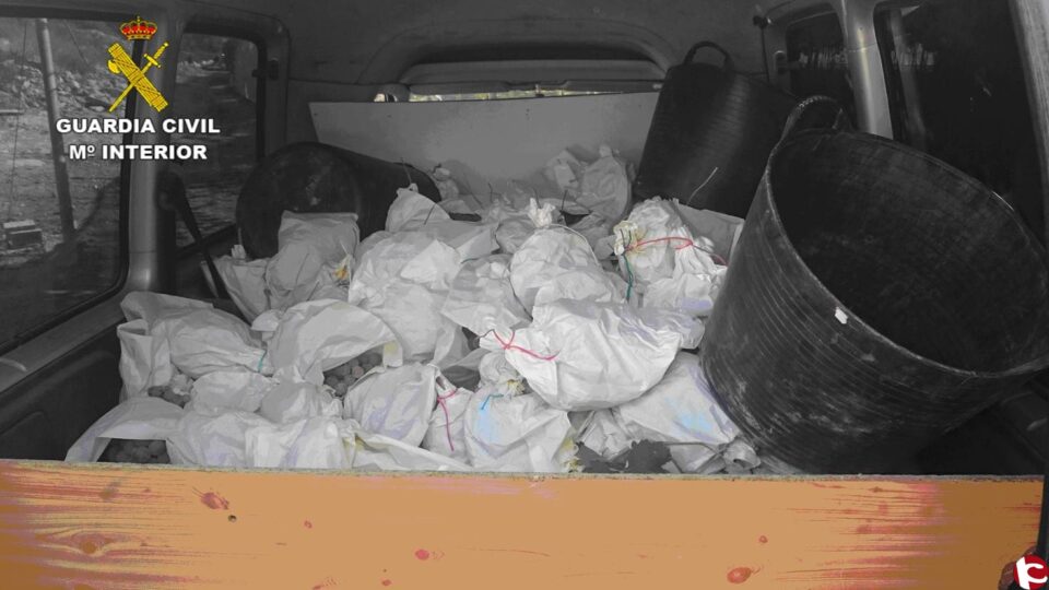 La Guardia Civil detiene a un hombre por el robo de casi 2 toneladas de uva en Monóvar