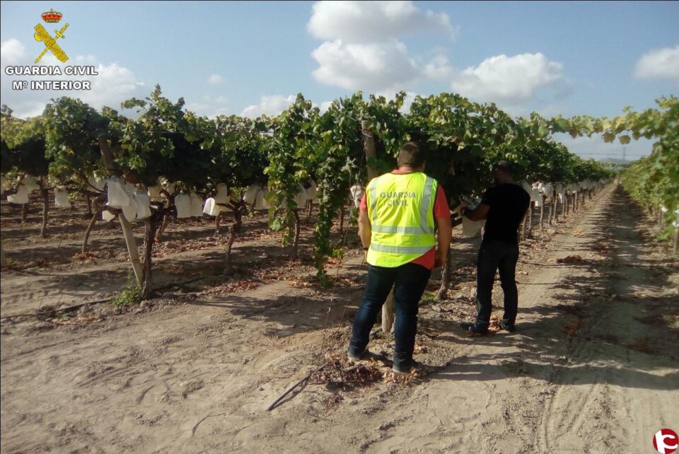 La Guardia Civil investiga a un matrimonio de Monforte del Cid por un delito contra los derechos de los trabajadores