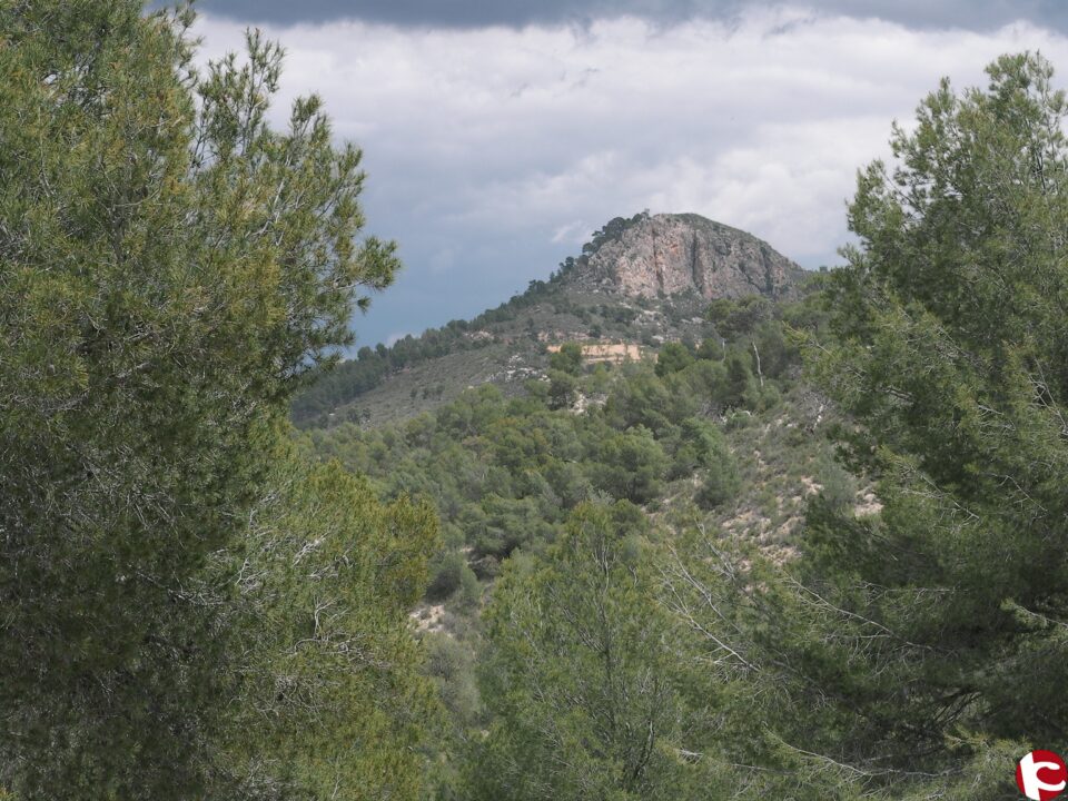 Medio Ambiente actuará para incrementar la biodiversidad y reducir el riesgo de incendios en paraje natural Monte Coto