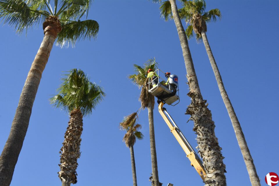 Comienza la limpieza y mantenimiento de los jardines del PERI del Vinalopó
