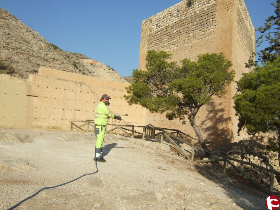 La Concejalía de Medio Ambiente y la Concejalía de Sanidad realiza el tratamiento para prevenir la aparición de la procesionaria del pino en el casco urbano de Novelda y el entorno del Santuario