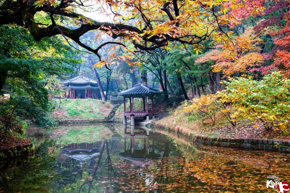 La UA organitza la II Setmana Cultural de Corea