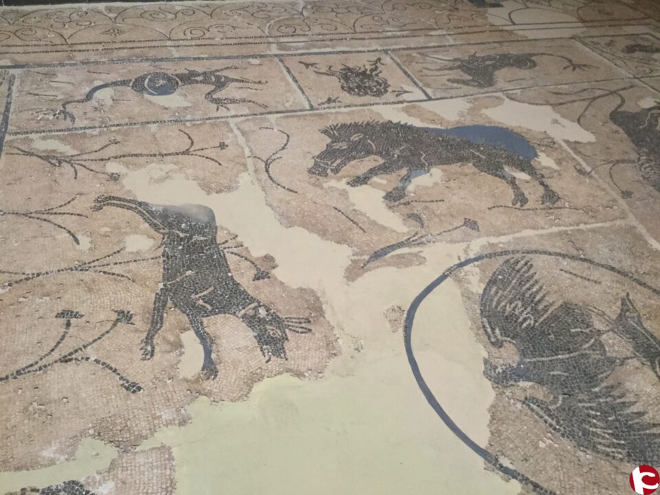 El Museu Arqueològic Nacional acull la Jornada 20 anys de la Fundació universitària l´Alcúdia d´investigació arqueològica