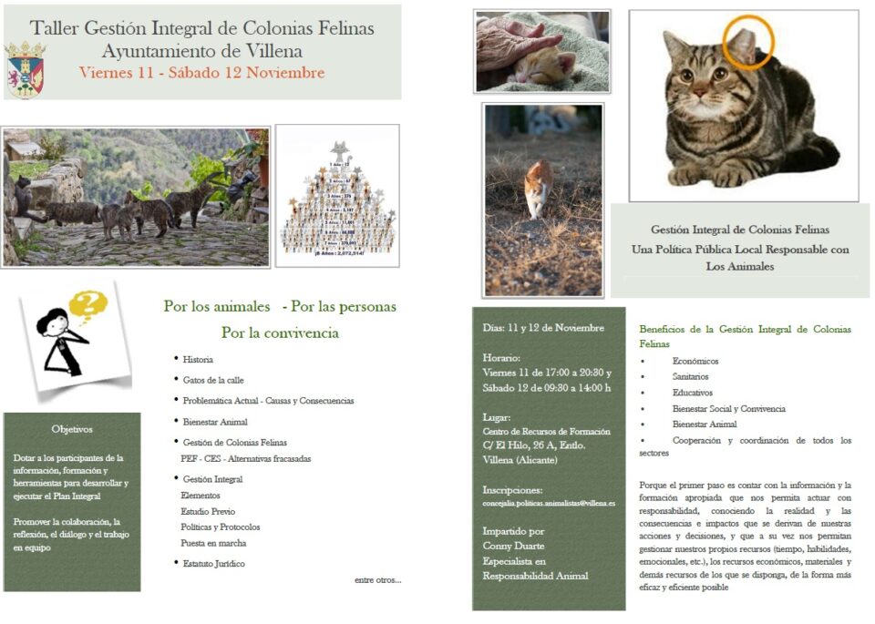 Control de las colonias de felinos en Villena