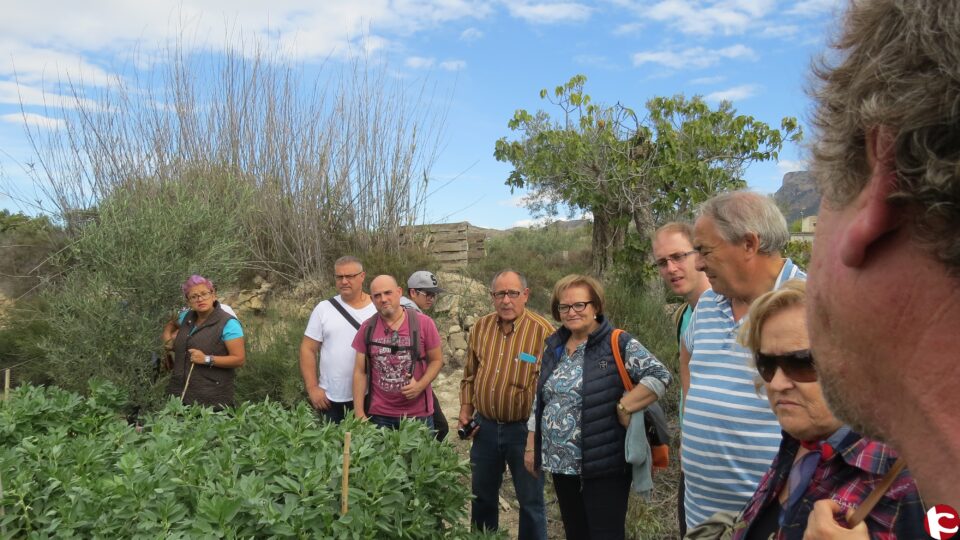 Los huertos populares de Ferrusa reciben la visita de los usuarios de los huertos urbanos de Sax