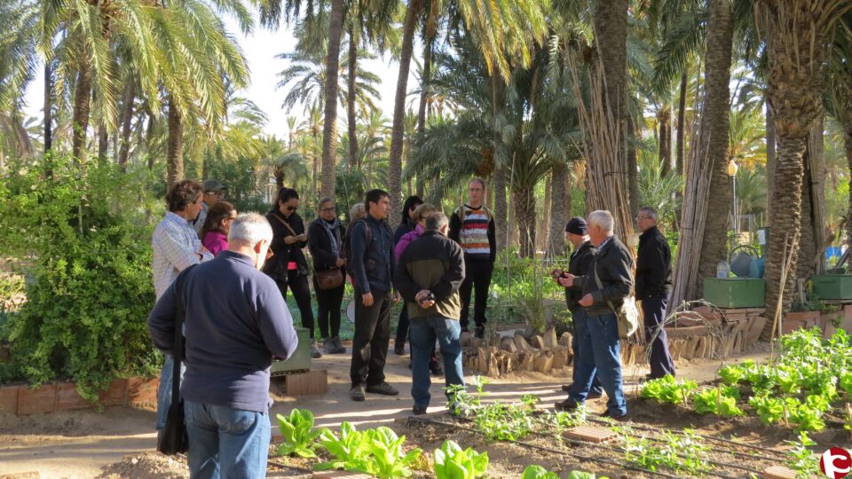 Los usuarios de los huertos urbanos de Sax han visitado en dos jornadas a sus homónimos en Aspe