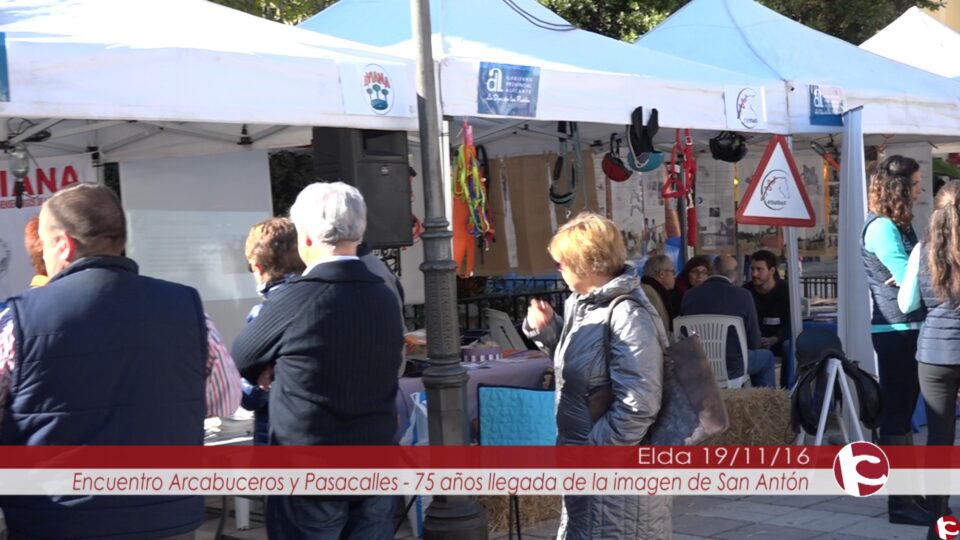 Ayer se celebró la Feria del Asociacionismo en conmemoración por el Día Mundial del Voluntariado