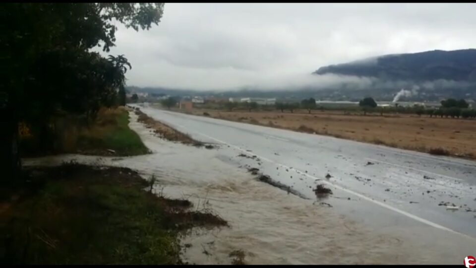 Plourà hui? Al Mitjà i Alt Vinalopó si