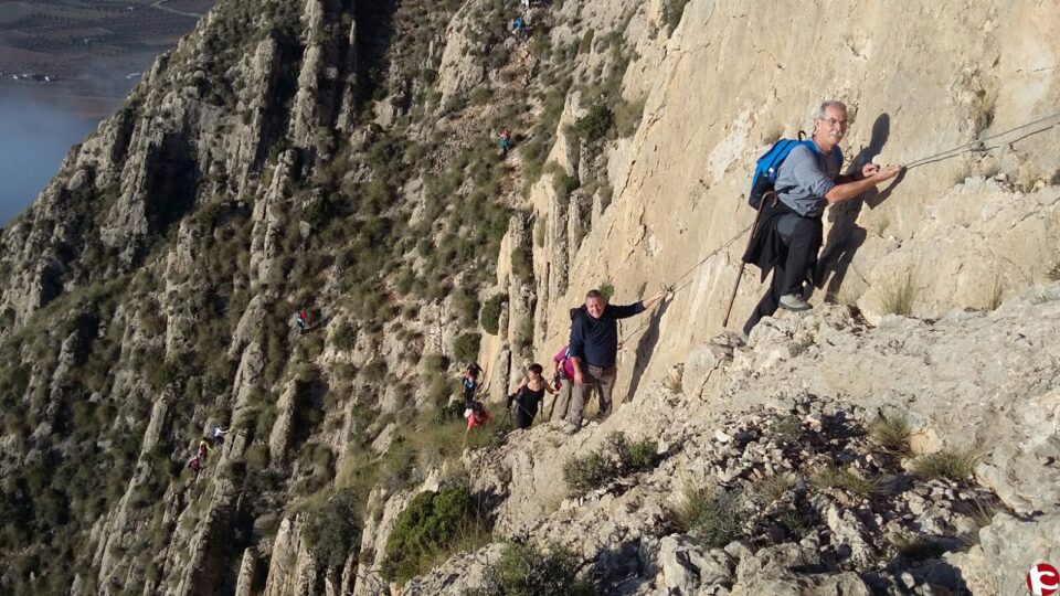 Aviana en la sierra del Buey (Jumilla)