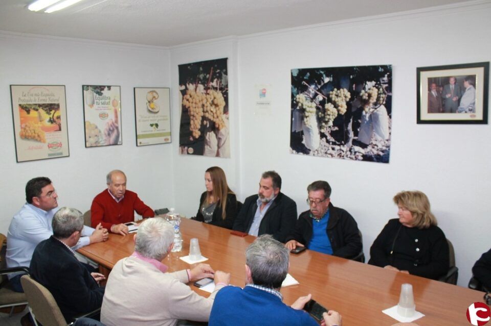 Se convoca con carácter urgente la mesa de crisis del sector de uva de mesa del Vinalopó