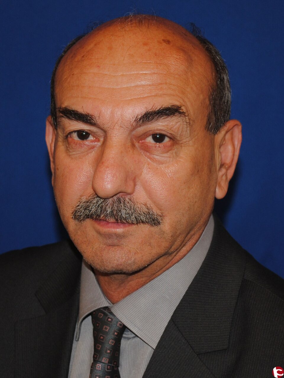 El poeta