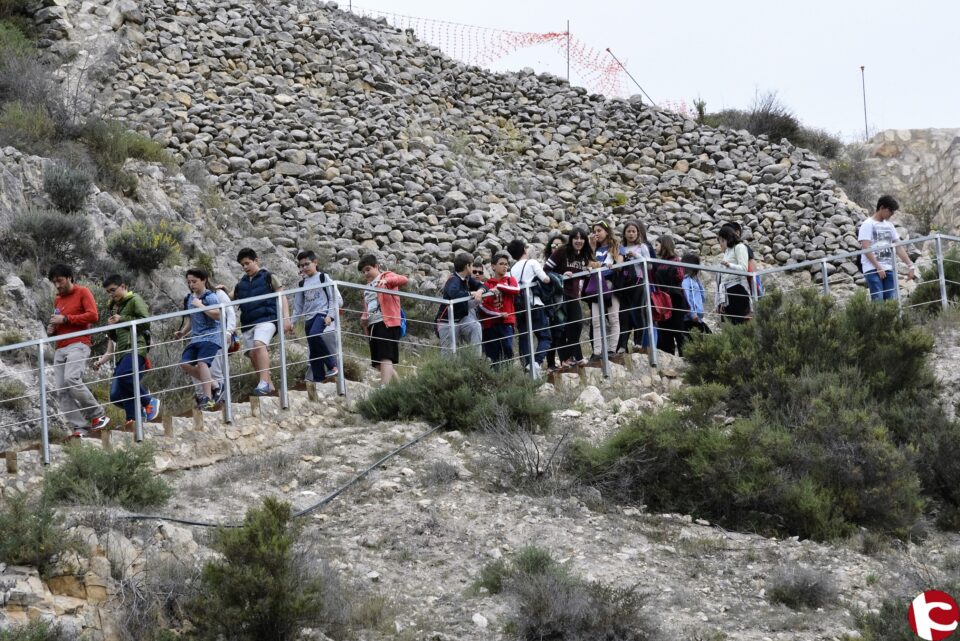 El equipo de gobierno valora con éxito las visitas al Yacimiento del Monastil