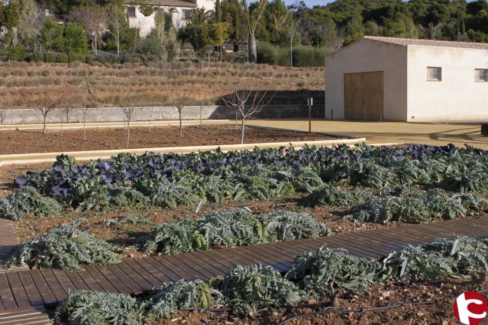 MEDIO AMBIENTE - El Gobierno Provincial invierte en 2016 más de 3