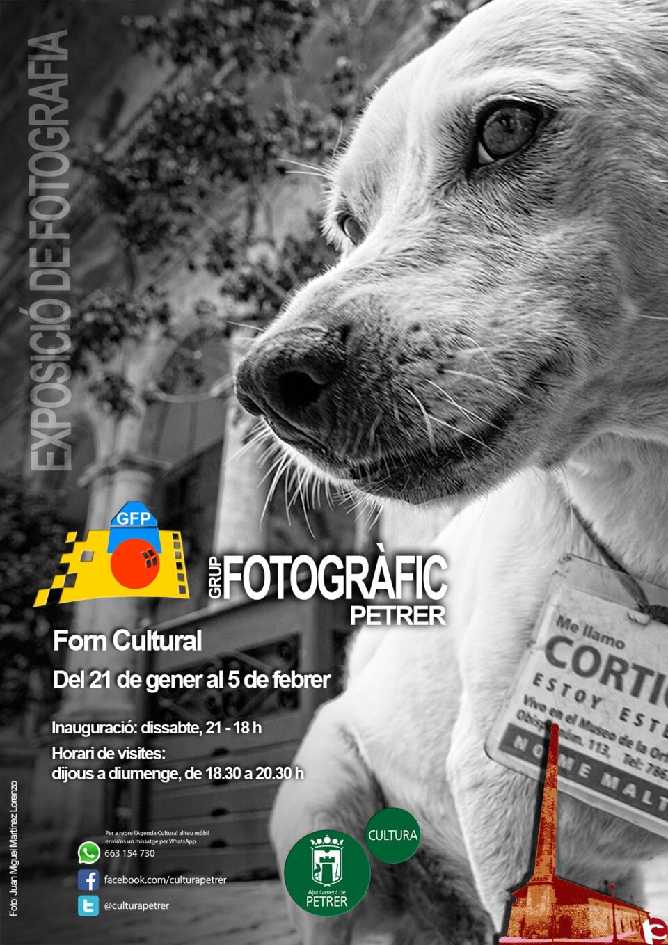 Exposición Anual del Grup Fotogràfic de Petrer