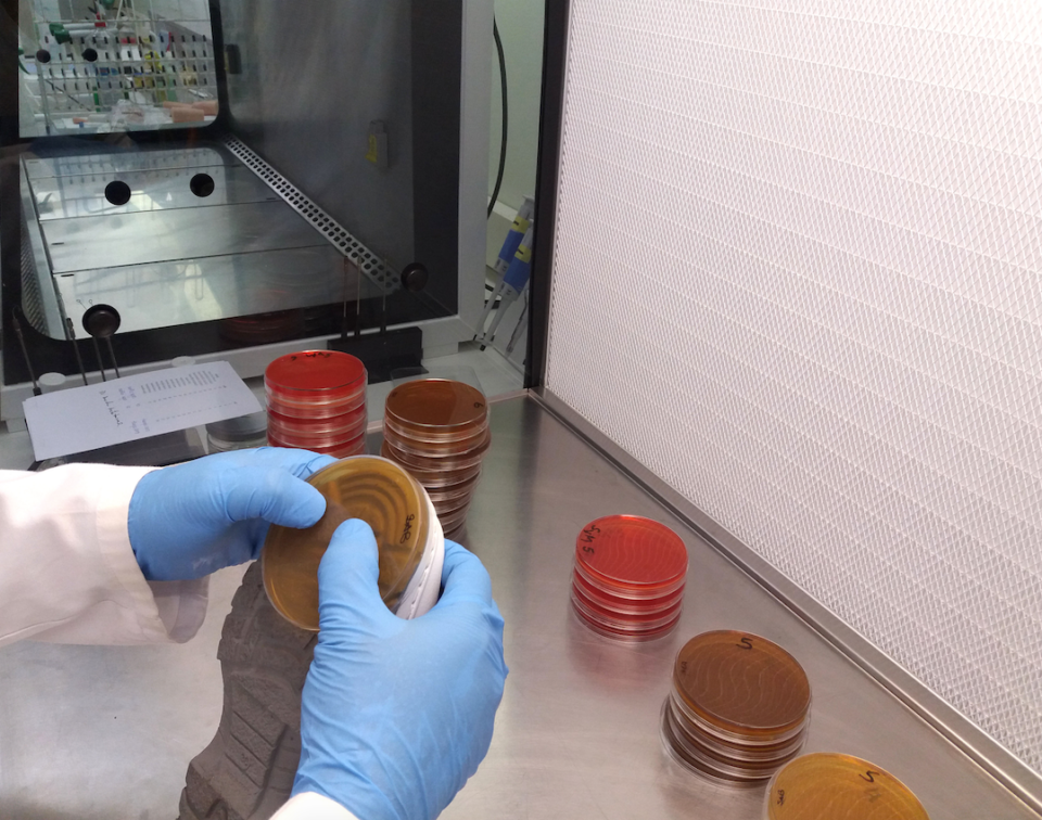 INESCOP trabaja en la desinfección de calzado laboral