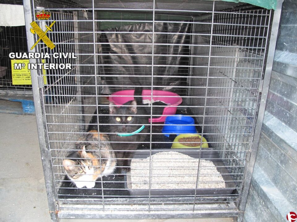 La Guardia Civil de Alicante preserva el buen estado y correcto funcionamiento de los centros de animales de la provincia