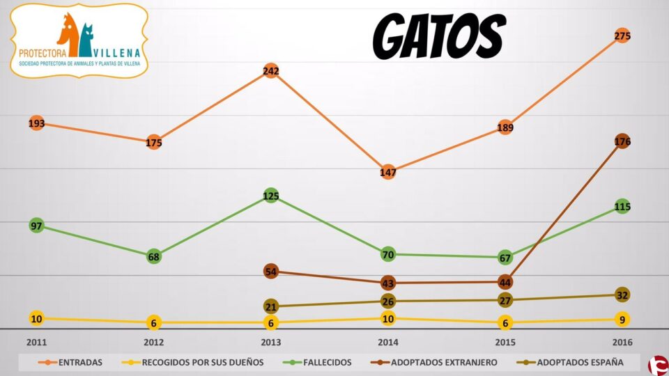Resumen de Datos de 2016 - Protectora de Villena