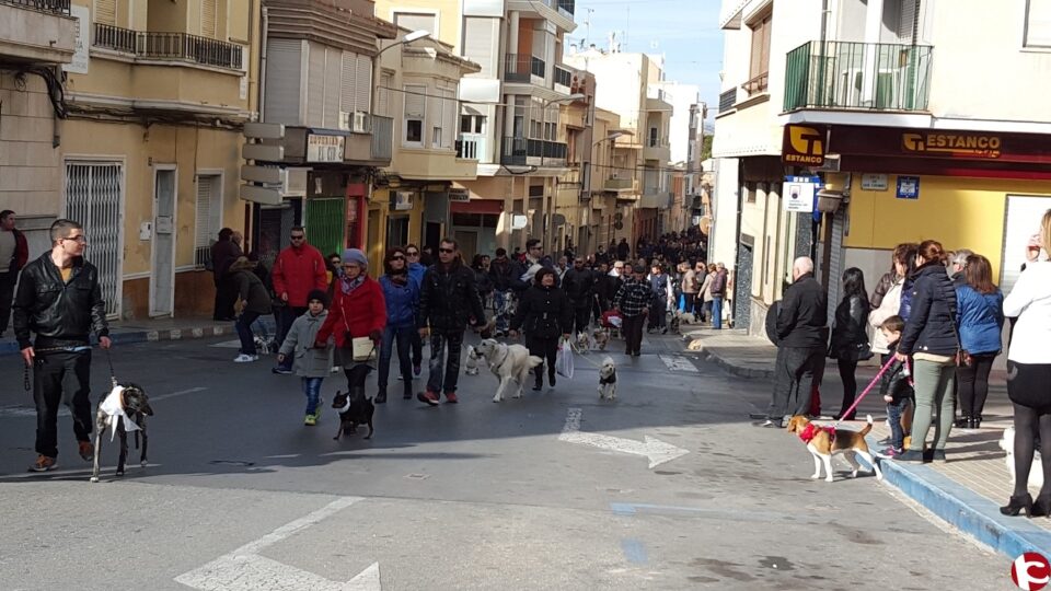 Romería de San Antón de Petrer