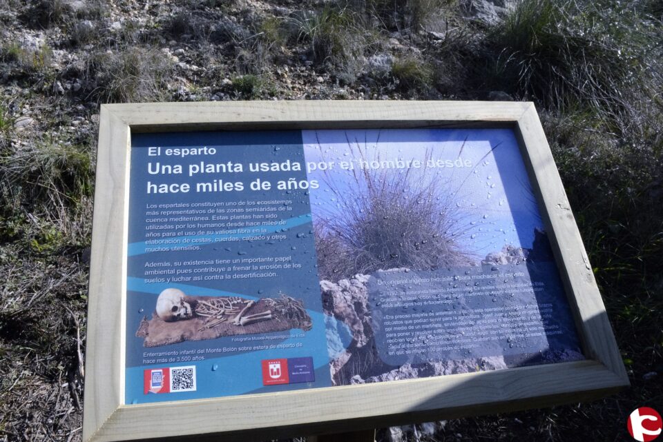 Medio Ambiente organiza una actividad en el pantano de Elda