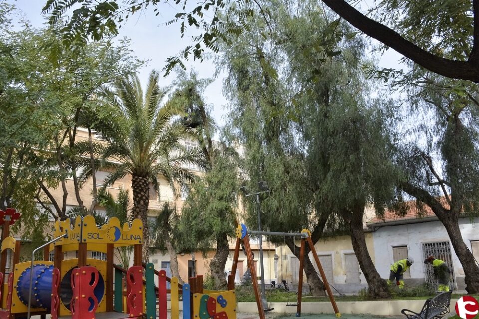 El Ayuntamiento contrata por primera vez a una empresa para que haga una poda exhaustiva