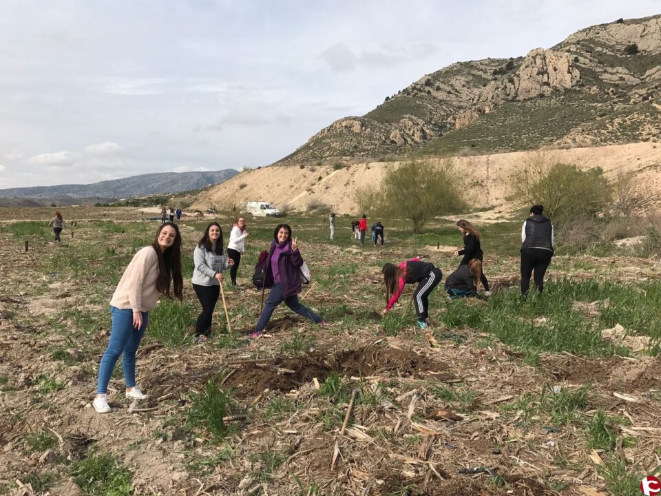 El Valle de Elda colabora en la reforestación de nuestros montes gracias a la colaboración del Ayuntamiento