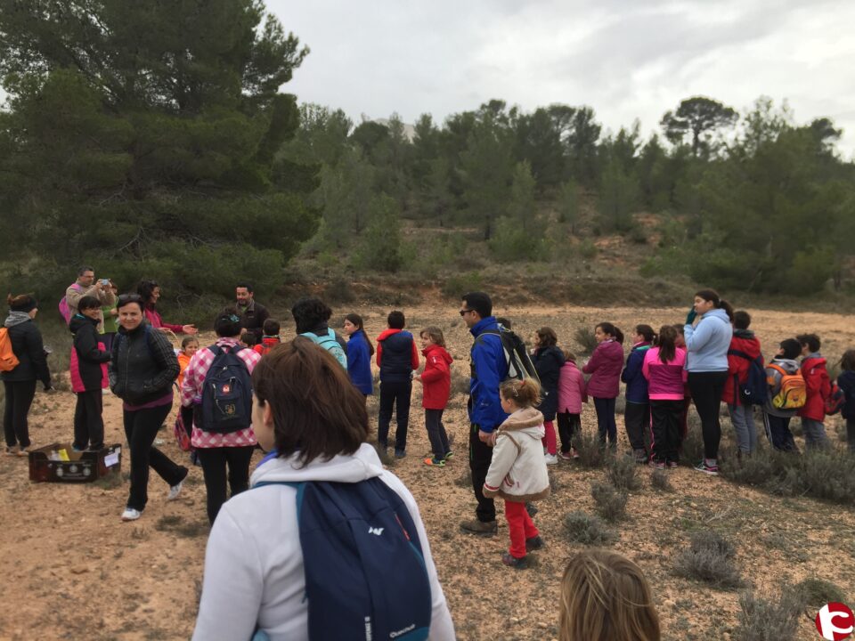 Gran acogida de las actividades del Día del Árbol
