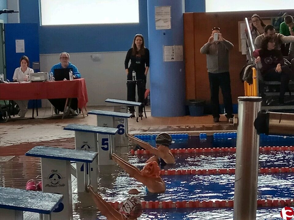 Actualidad Club Natación Villena Alto Vinalopó