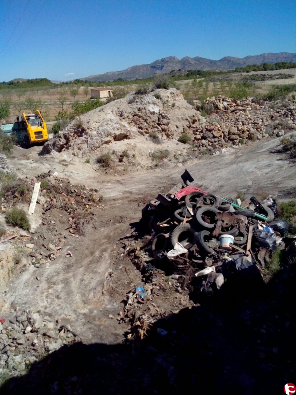 Javier Martínez nos habla sobre el patrimonio redescubierto y el día del árbol