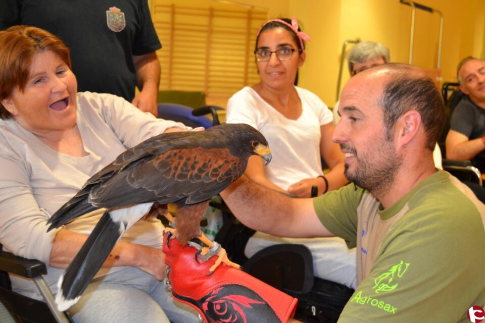 Hablamos con la Asociación Pionera en España en terapia asistida con aves rapaces Magic-Eagle