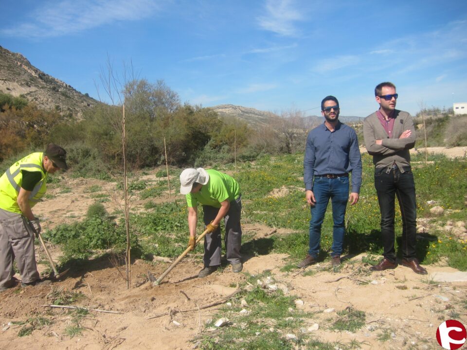Medio Ambiente y Festival Natura organizan una jornada de reforestación