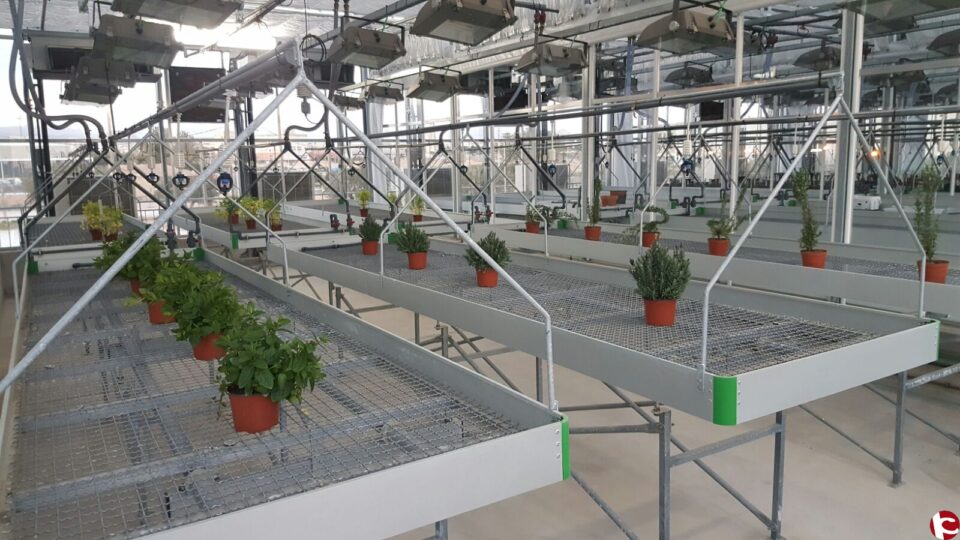 Conrear aliments sense residus de plaguicides o fitosanitaris químics