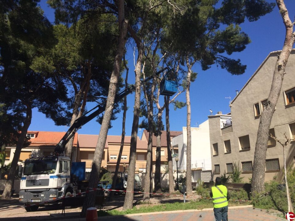 Nuevas tareas de poda y desbroce en Ibi