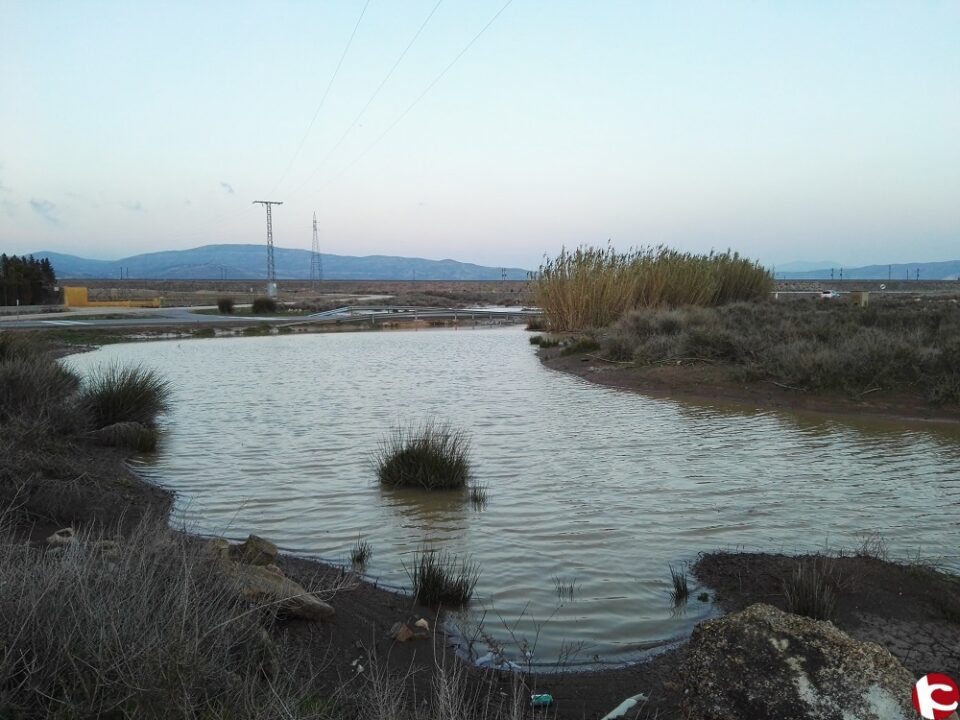 Mociones a pleno de PP de Villena