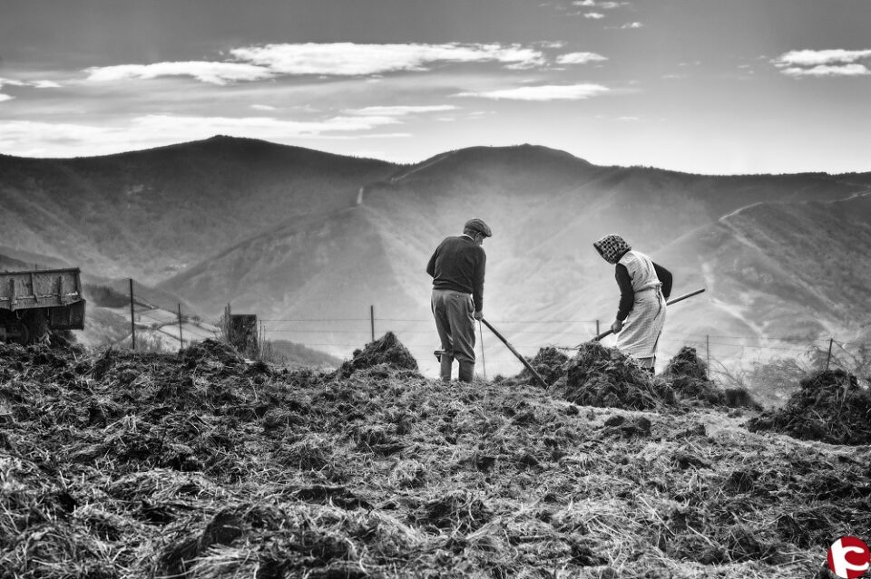 Villenenses premiados en el Memoria Helie 2017