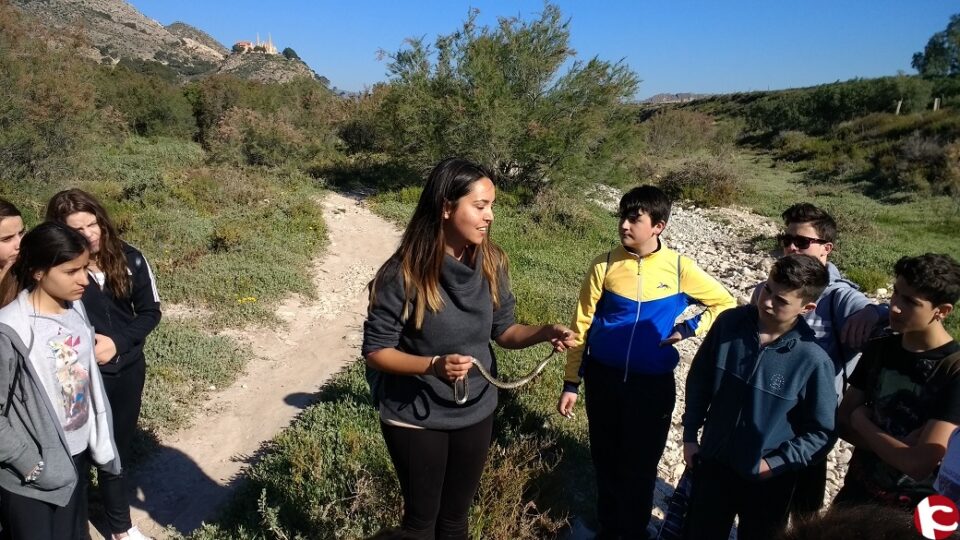 Finaliza la reforestación escolar en Novelda con la participación de mas de 300 alumnos