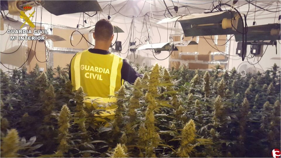 La Guardia Civil detiene a 14 componentes de una peligrosa organización de tráfico de drogas en La Romana