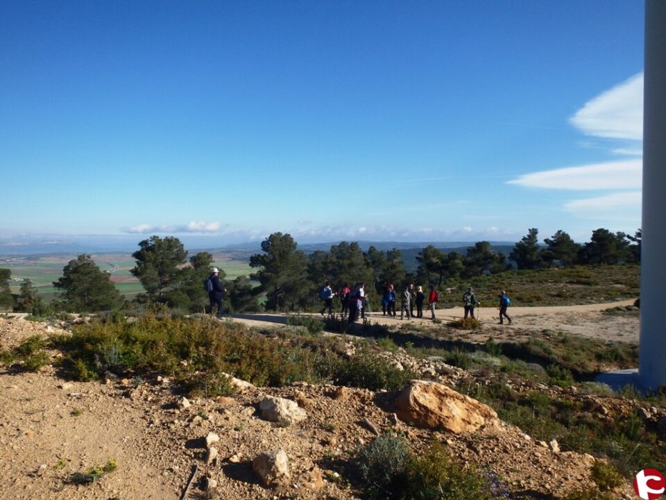 AVIANA en la Sierra La Silla y Sierra el Cucurucho (La Encina)